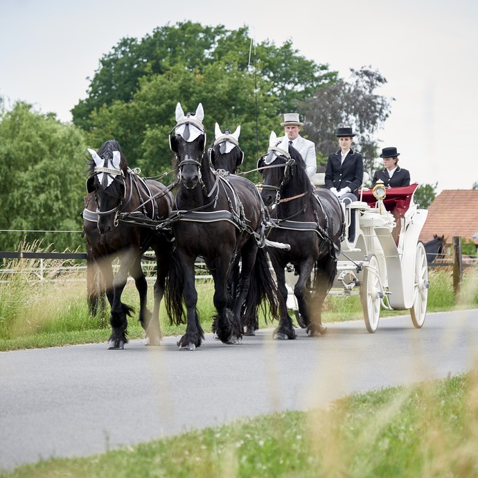Vier schwarze Pferde ziehen eine weiße Kutsche. Fahrgäste sind ein Mann und zwei Frauen mit Hut. (vergrößerte Bildansicht wird geöffnet)