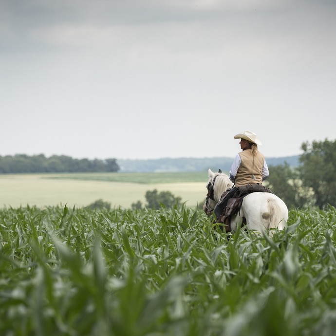Eine Frau mit hellem Cowboyhut sitzt auf ihrem Pferd in einem hochstehenden Maisfeld und blickt in die Ferne. (vergrößerte Bildansicht wird geöffnet)