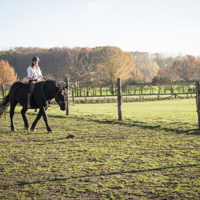 Eine Frau reitet ein schwarzes Pferd über eine Wiese. Sie reitet ohne Sattel und ohne Zaumzeug. Die Zügel hält sie ganz leicht in der Hand. (öffnet vergrößerte Bildansicht)