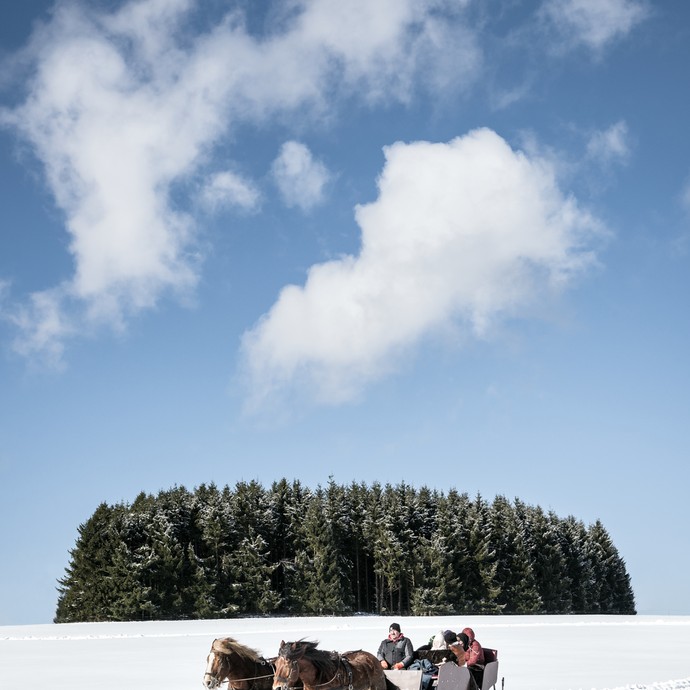 Ein Schlitten mit zwei braunen Kaltblutpferden und drei Fahrgästen fährt durch tiefen Schnee einen Hügel hinab. Blauer Himmel und weißer Schnee. (vergrößerte Bildansicht wird geöffnet)