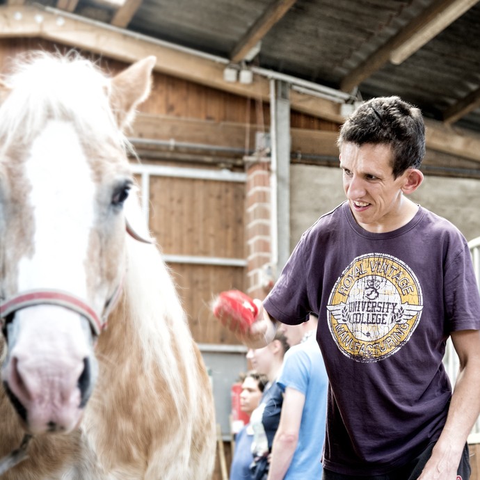 Ein Mann nähert sich mit einer roten Striegelbürste in der Hand einem hellen Pferd. Sie befinden sich in einem Stallgebäude. (vergrößerte Bildansicht wird geöffnet)