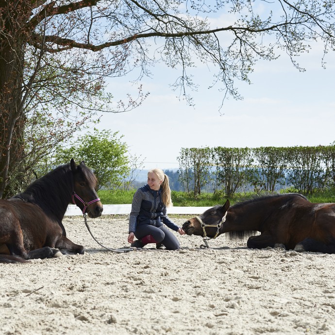 Ein blondes Mädchen sitzt zwischen zwei im Sand liegenden dunklen Pferden. Sie lächelt dem linken Pferd zu und füttert dem rechten eine Belohnung. (vergrößerte Bildansicht wird geöffnet)