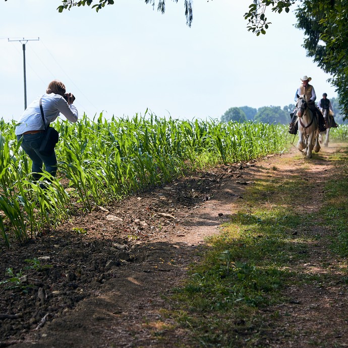 Die Fotografin steht am Rand eines Feldes. Einige Reiter kommen ihr entgegen. Die Pferde galloppieren. Die Frau fotografiert sie. (vergrößerte Bildansicht wird geöffnet)