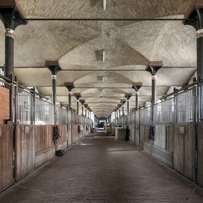 Innenansicht einer Stallgasse. Links und rechts reihen sich Pferdeboxen aneinander. (vergrößerte Bildansicht wird geöffnet)