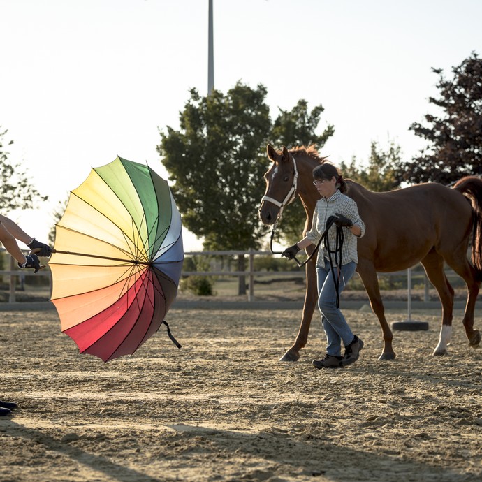 Ein Mädchen hält einen bunten aufgespannten Regenschirm, eine Frau läuft mit einem großen braunen Pferd darauf zu. (öffnet vergrößerte Bildansicht)