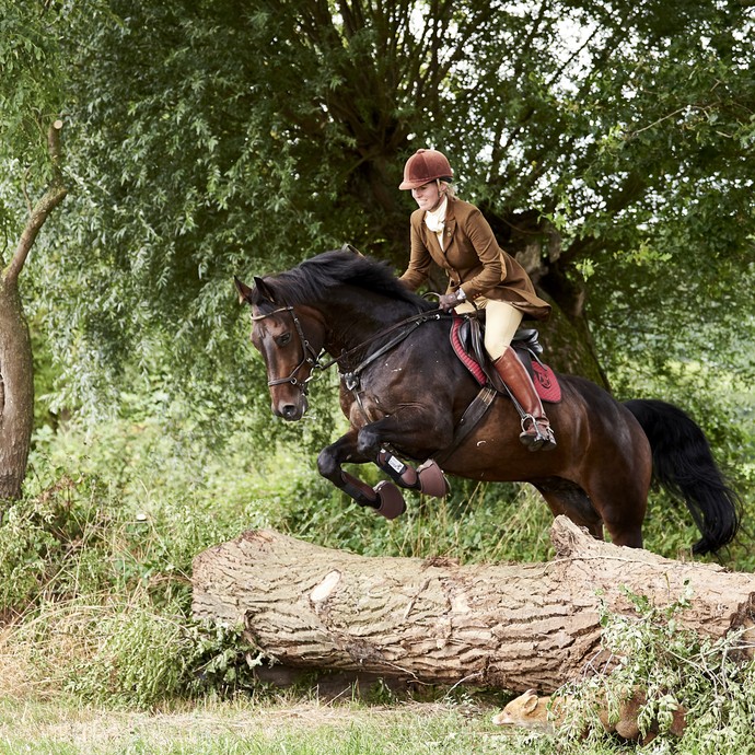 Eine in erdtönen gekleidete Jagdreiterin springt mit ihrem dunklen Pferd über einen Baumstamm. (vergrößerte Bildansicht wird geöffnet)