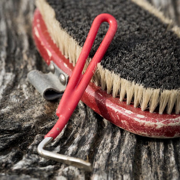 Ein Hufkratzer mit rotem Griff liegt schräg angelehnt an einer Striegelbürste mit hellen und dunklen Borsten. (öffnet vergrößerte Bildansicht)
