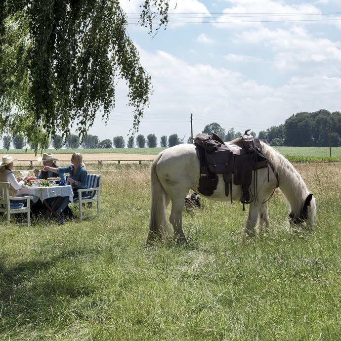 Ein helles Pferd mit Westernsattel grast auf einer sonnigen Weide. Im Hintergrund sitzen vier Personen an einem Kaffeetisch und unterhalten sich. (vergrößerte Bildansicht wird geöffnet)