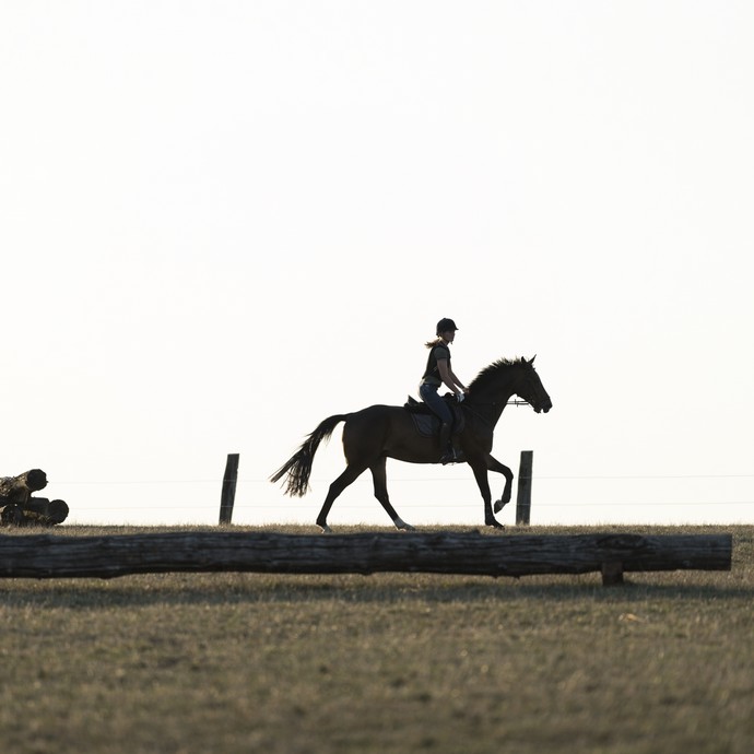 Am Horizont reitet eine Frau an einem Zaun entlang. Im Gegenlicht sind nur die Umrisse von Pferd und Reiterin zu erkennen. (öffnet vergrößerte Bildansicht)