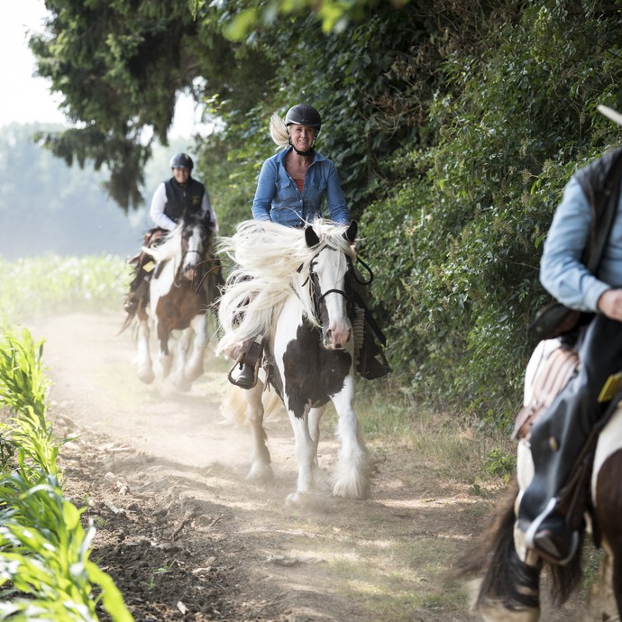 Drei Reiter galoppieren auf schwarz-weißen Pferden einen Pfad am Waldrand entlang. Sie reiten auf die Kamera zu, Mähne und Haare wehen im Wind. (vergrößerte Bildansicht wird geöffnet)