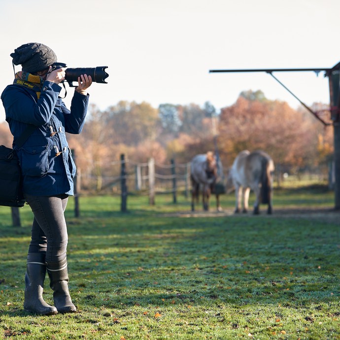 Die Fotografin macht ein Foto. Sie steht auf einer Pferdeweide. Hinter der Fotografin grasen Pferde. (vergrößerte Bildansicht wird geöffnet)