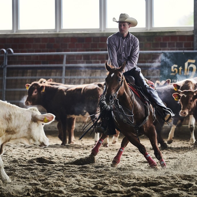 Ein Mann mit Cowboyhut reitet mit konzentriertem Blick auf ein weißes Kalb zu. Sein Pferd ist in Sprungstellung. (vergrößerte Bildansicht wird geöffnet)