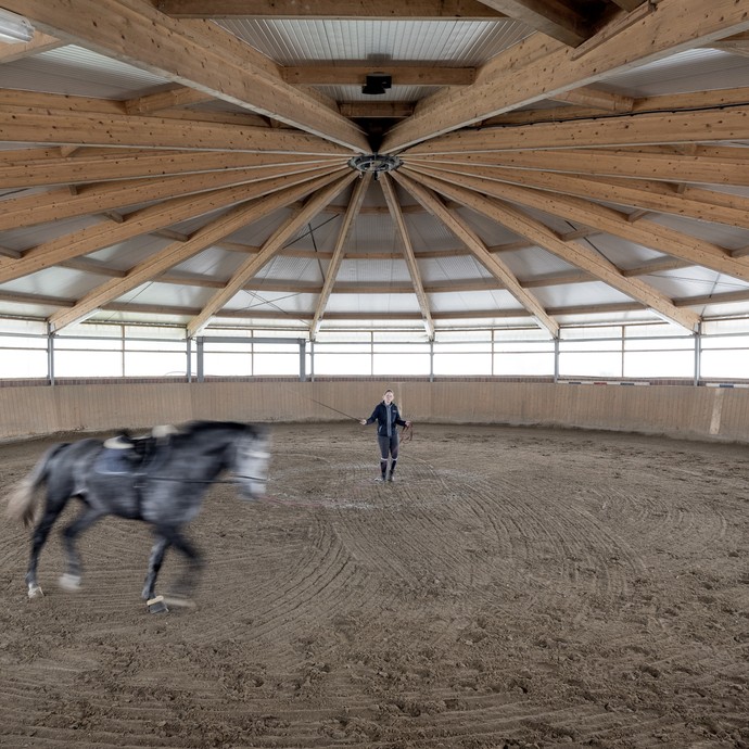 In einer großen runden Halle steht mittig eine Frau. Sie longiert ein Pferd, das durch seine Bewegung unscharf abgebildet ist. (vergrößerte Bildansicht wird geöffnet)