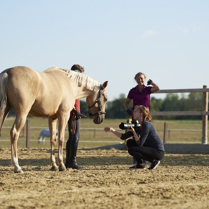 Die Auszubildende hockt mit ihrer Kamera im Sand. Ein helles Pferd schnuppert an ihrer Hand. (vergrößerte Bildansicht wird geöffnet)