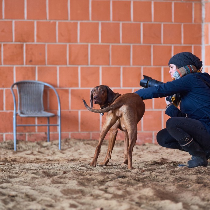 Eine Frau hält eine Foto-Kamera in der einen Hand. Mit der anderen Hand streichelt sie einen Hund. (vergrößerte Bildansicht wird geöffnet)